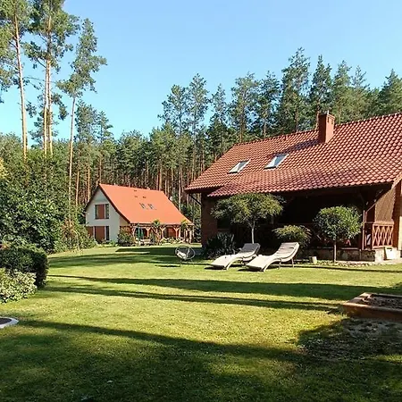 Appartement W Sosnowym Lesie Pluski