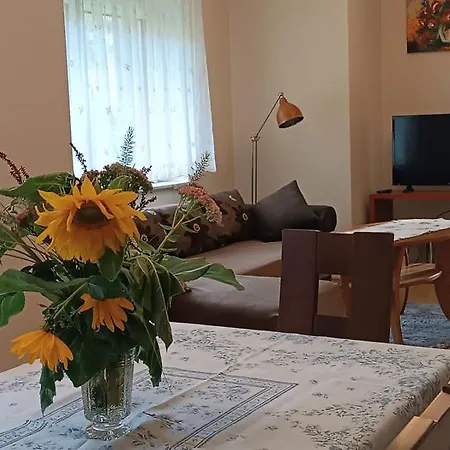 Appartement W Sosnowym Lesie Pluski
