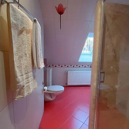 W Sosnowym Lesie Appartement *